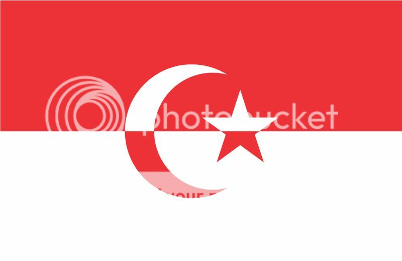 Мусульманский флаг картинки